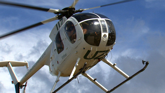 Hero image for Hunting Aotearoa - Series Five, Episode Six