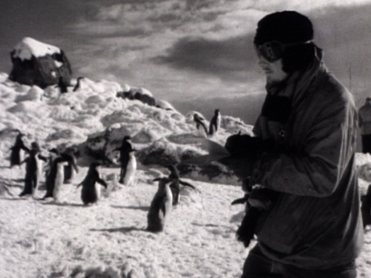 Hero image for Antarctic Adventure
