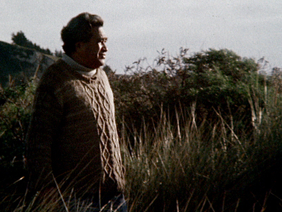 Hero image for Koha - Hone Tuwhare