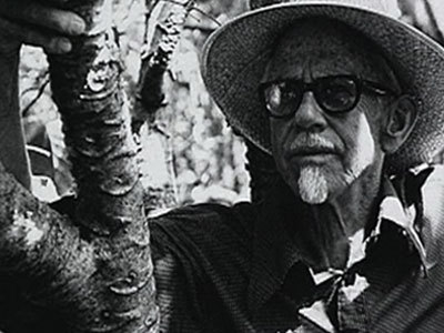 Hero image for Perfectly Frank - The Life of a New Zealand Writer
