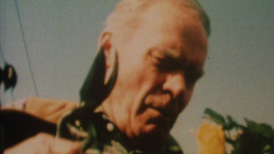 Hero image for Old Bastards