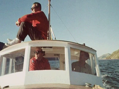 Hero image for A Dolphin's Story