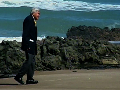 Hero image for Hone Tuwhare - The Return Home