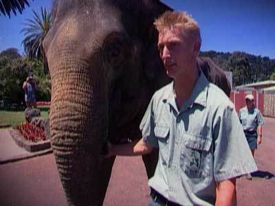 Hero image for The Zoo