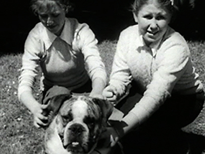 Hero image for Outdoor Dogs