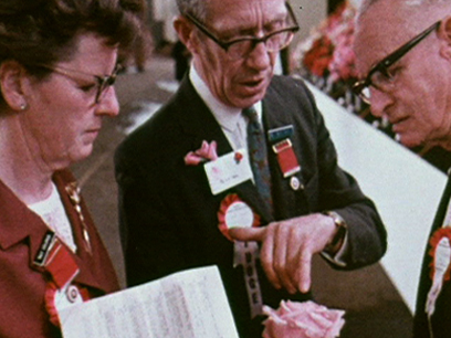 Hero image for Roseworld '71