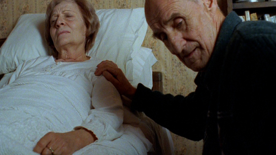 Hero image for Still Life