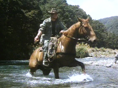 Hero image for Wild Horses
