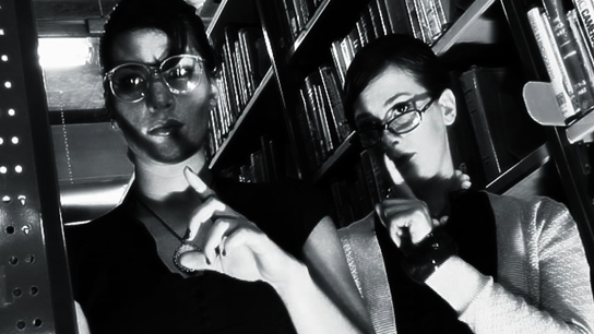 Hero image for Librarian