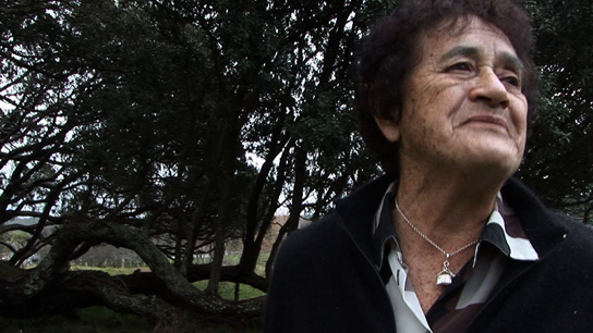 Hero image for Let My Whakapapa Speak