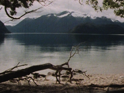 Hero image for A Question of Power - The Manapouri Debate