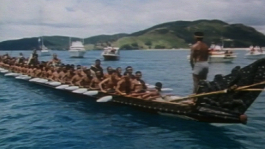 Hero image for Te Hono ki Aotearoa
