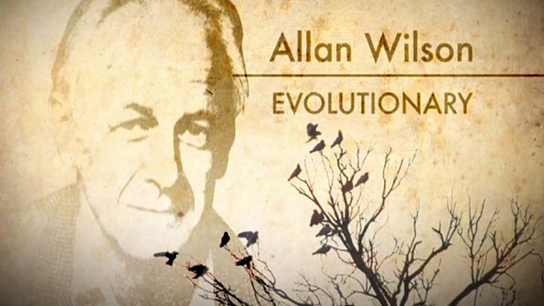 Hero image for Allan Wilson: Evolutionary