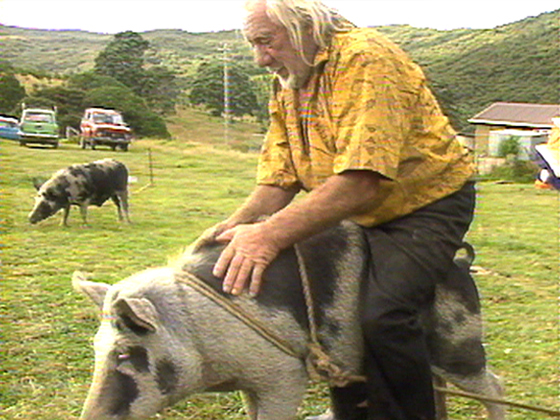 Hero image for Weekend - Great Barrier Island