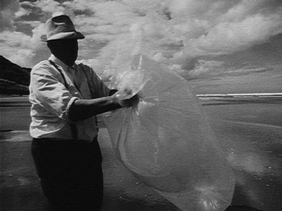 Hero image for Karioitahi Beach 