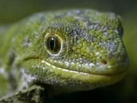 Thumbnail image for Nature category