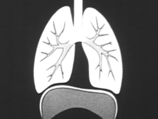 Thumbnail image for Asthma and Your Child