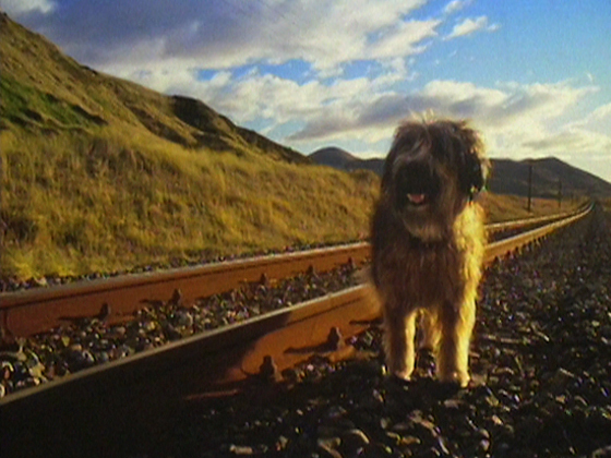Hero image for Wonderful World - TV One Channel ID 
