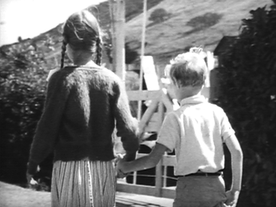 Hero image for In the Country