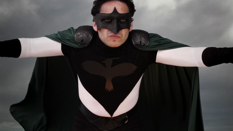 Hero image for Lapwing