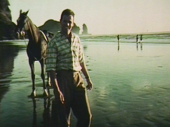 Hero image for The Top End of New Zealand 
