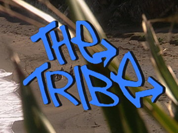 Image for The Tribe