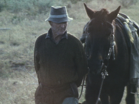 Hero image for Country Calendar - Billy Riddell, Drover
