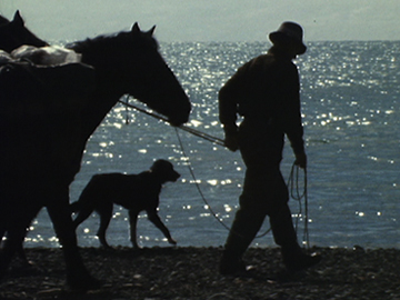 Image for Country Calendar - Billy Riddell, Drover