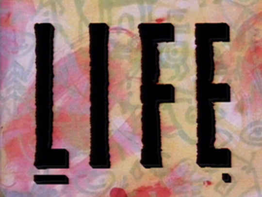 Thumbnail image for LIFE (Life in the Fridge Exists)