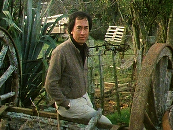 Hero image for Witi Ihimaera: Roimata Toroa