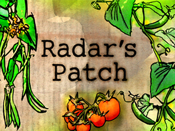 Image for Radar's Patch