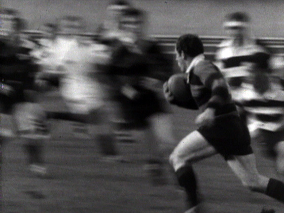 Hero image for Looking at New Zealand - 'Rugby, Racing and Beer'