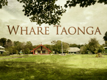 Image for Whare Taonga