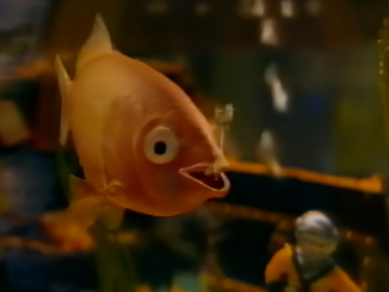 Hero image for Eric the Goldfish