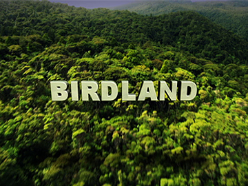 Image for Birdland