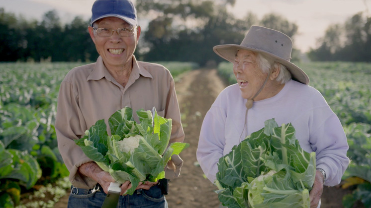 Hero image for Loading Docs 2016 - How Mr and Mrs Gock Saved the Kumara