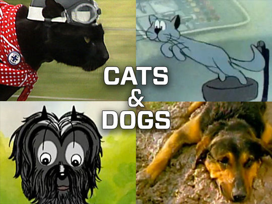 Collection image for Cats and Dogs