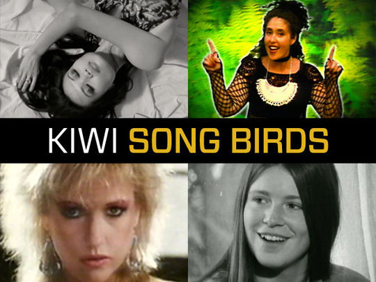 Image for Kiwi Song Birds