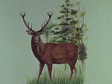 Image for Red Deer