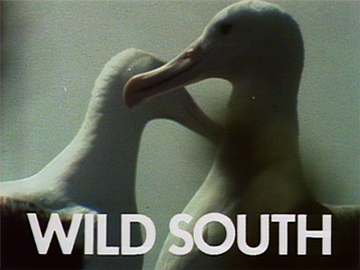 Image for Wild South