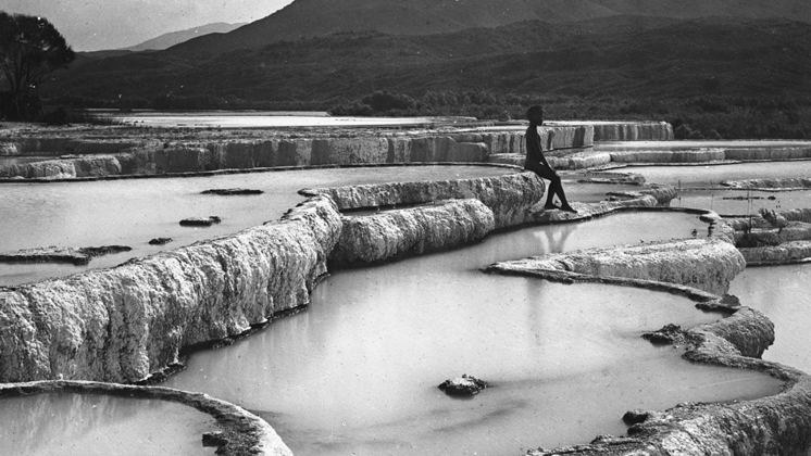 Hero image for The Hunt for the Pink and White Terraces