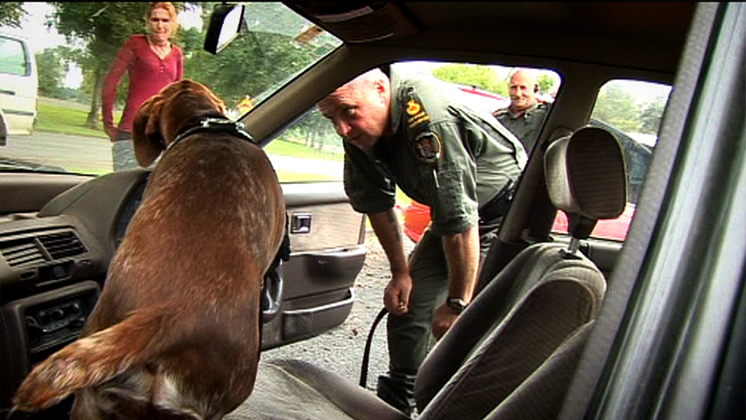 Hero image for Dog Squad - Series Two, Episode One