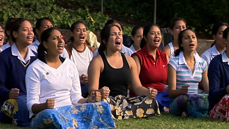 Hero image for Daughters of the Pacific
