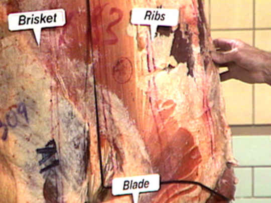 Thumbnail image for Home Butchery - Hygiene and Equipment