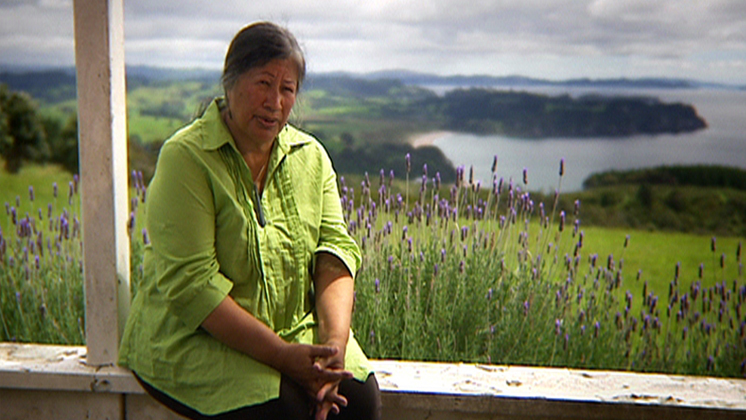 Hero image for 50 Years of New Zealand Television: 7 - Taonga TV 