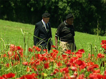 Image for Monte Cassino - 60 Years On