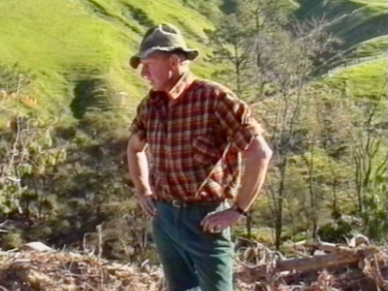 Hero image for First Hand - Paradise Lost
