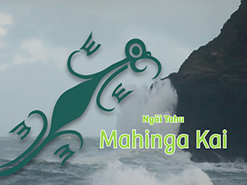 Image for Ngāi Tahu Mahinga Kai