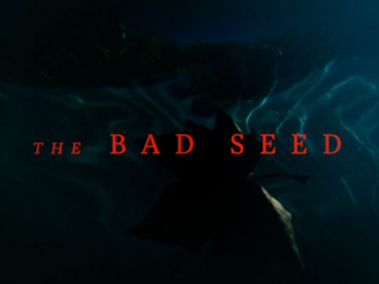 Thumbnail image for The Bad Seed