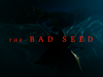 Image for The Bad Seed